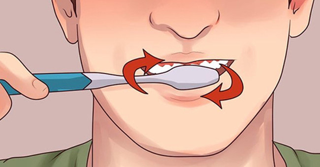 The Dentist Instructs How to Brush Teeth Properly