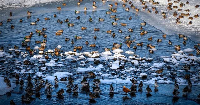 The Earth Has Just Recorded the Hottest January in History
