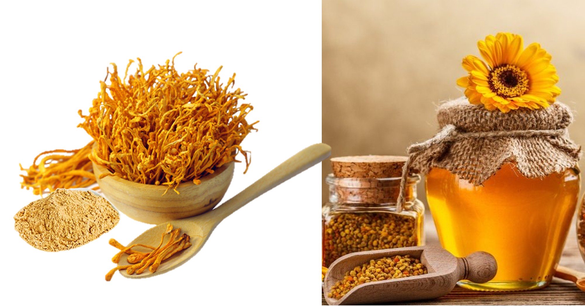 The Effects of Cordyceps Honey Soaked? How to Soak?