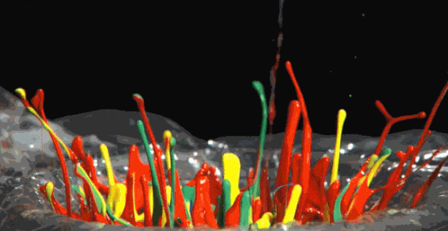 The Enchanting Beauty of Colorful Paint Drops Dancing