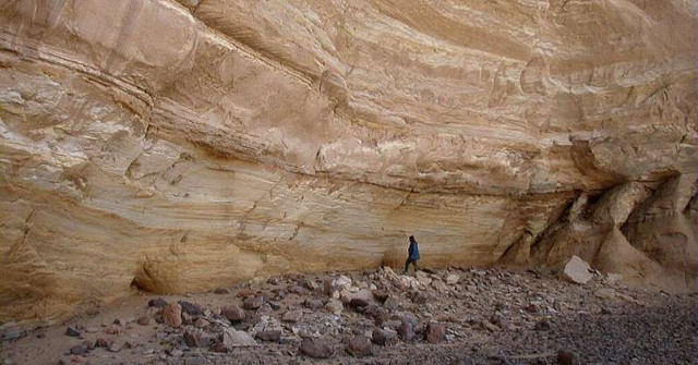 The Entomologist Confirmed the First Saharan Farm 10,000 Years Ago