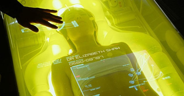 The First Human Being Had a Biological Pause to Extend Life