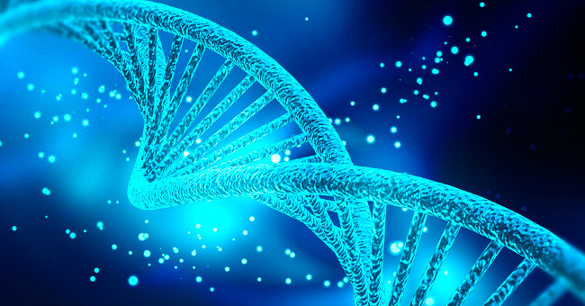 The Genetic Variant Was Found to Be Associated with Viral Inflammation