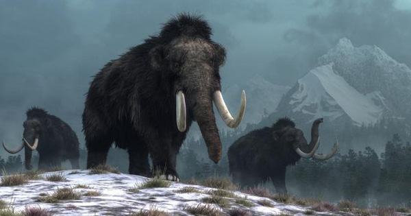 The Giant Structure Was Discovered from Mammoth Bones 25,000