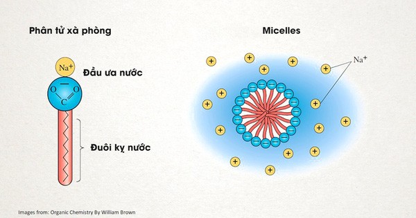 The History of Soap and How It Destroys Corona Virus