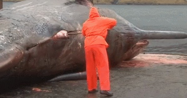 The Images Show That This World Exists Incredible Anomalies