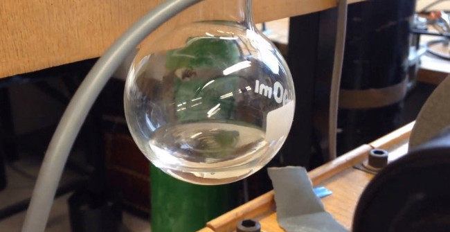 The Interesting Scientific Knowledge That We Missed While at School