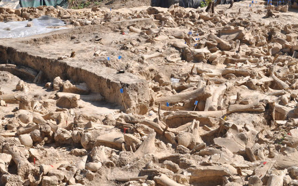The Largest Mammoth Structure Ever Found in Russia, Shows