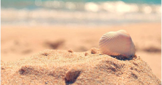 The Lesson Changes the Concept of Living and Having the Happiness