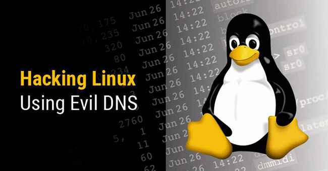 The Linux Machine Can Be Remotely Hacked with a Poisoned DNS Response