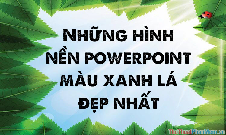 Powerpoint wallpapers giúp trình bày bài thuyết trình của bạn trở nên chuyên nghiệp, tinh tế và thú vị. Những hình ảnh động, sắc nét và đa dạng sẽ giúp bạn thu hút sự chú ý của khán giả.