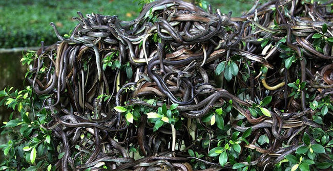 The Most Dangerous Lands on Earth, There Are Places That Can Cause