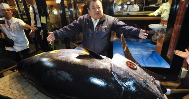 The Most Expensive Fish in the World, the Highest Record Is over