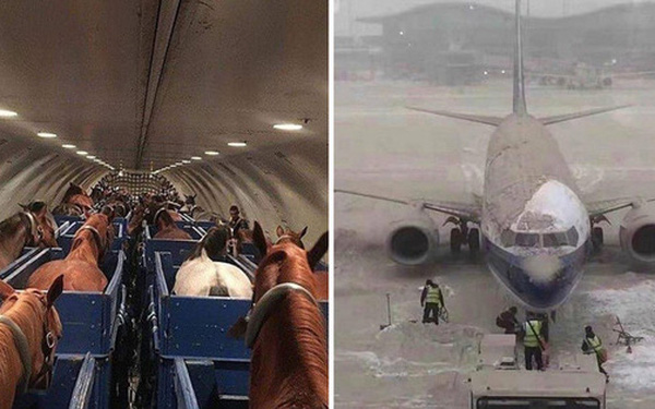 The Most Unique Images on the Plane That Passengers Have Ever