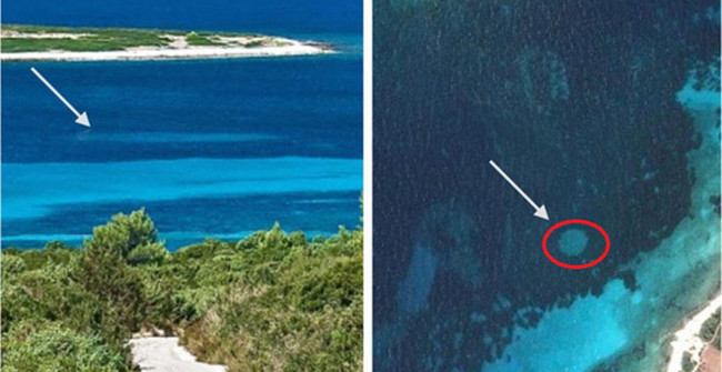 The Mysterious 'Circle' in the Deep Sea Was Finally Decoded but the Answer Made the Scientists Worry