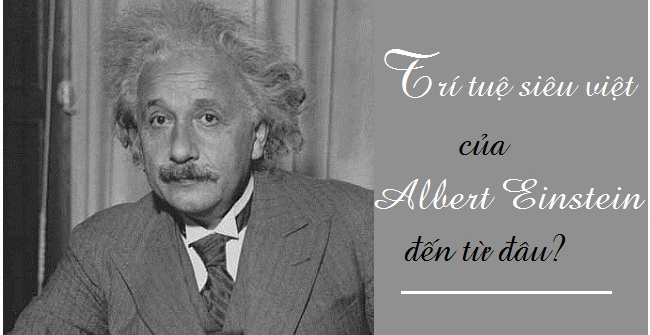 The Mystery Behind the Stolen Brain of Albert Einstein Genius