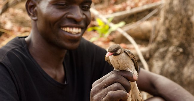 The Mystery of How People and Birds Communicate