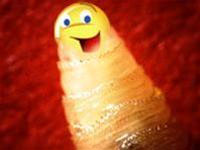 The New Worm Attacks Yahoo Messenger Users