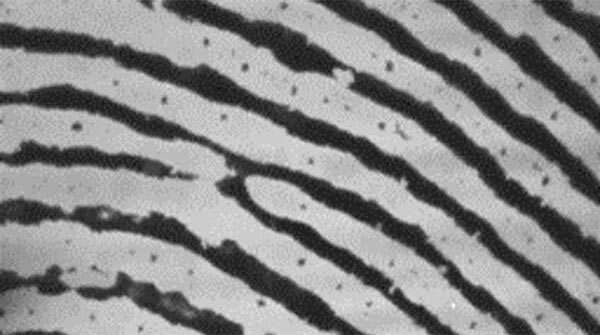 The Researchers Successfully Developed Capacitive Image Sensors with High Resolution and Sensitivity