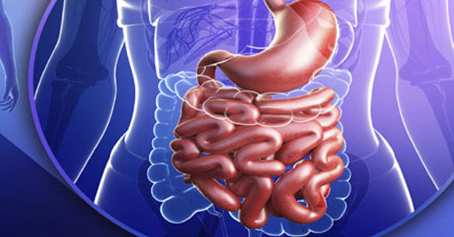 The Risk of Colon Cancer Can Be Reduced by Using Daily Insulin