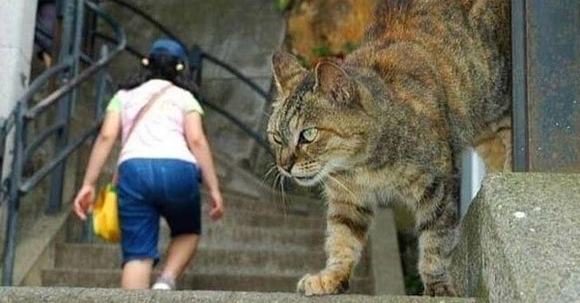 The Series of Images Is Confusing and Makes Anyone Look at You