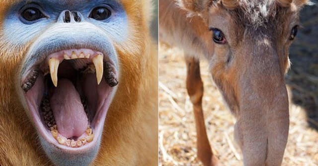The Series of Photos Shows the Natural World with Many