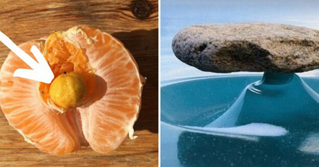 The Series of Pictures Revealing the Wonders of Nature Not Everyone Has the