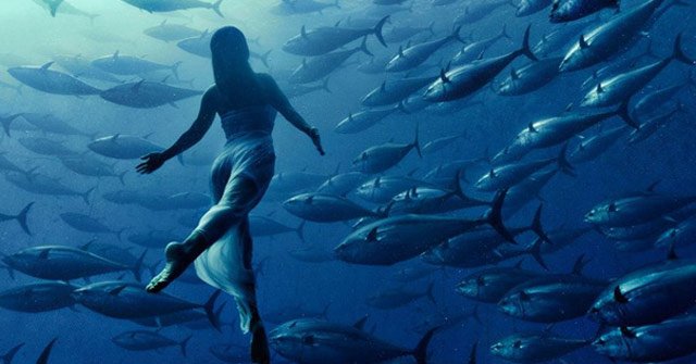 The Series of Real Photos Looks Like Fake to Make Viewers