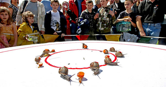 The Slug Race - the Strange Slow-motion Race in Human History