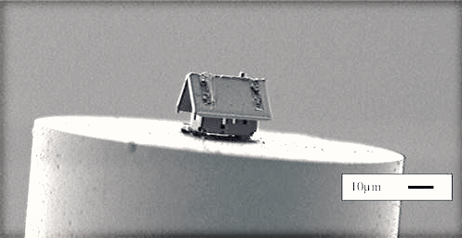 The Smallest House in the World Is Only 15 Micrometers, to Observe Must Use a Microscope