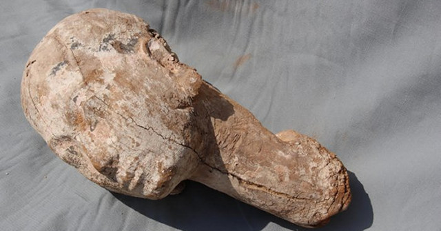 The Statue of Ankhnespepy II Queen Was Unearthed in Sakkara