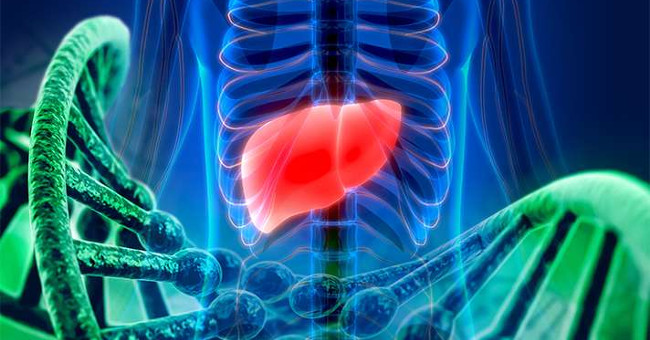 The Study Found Four Genes Involved in Cysts in the Liver and Kidneys