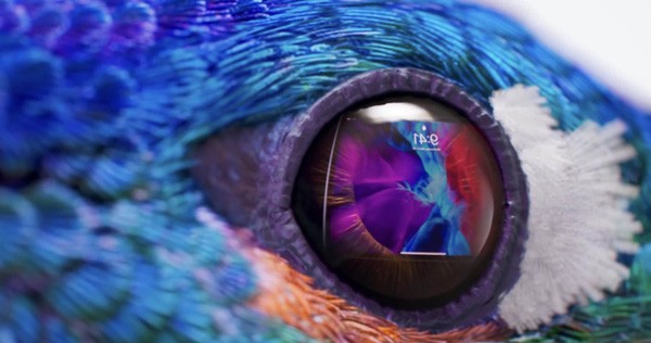 The Tiny Detail in the iPad Pro 2020 Ad Makes Everyone Fall