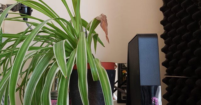 The Truth Behind the Tree Photo Next to the Wilted Wi-Fi Transmitter on Reddit