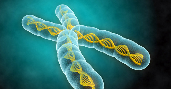 The Variant of NKPD1 Gene Increases the Risk of Depression