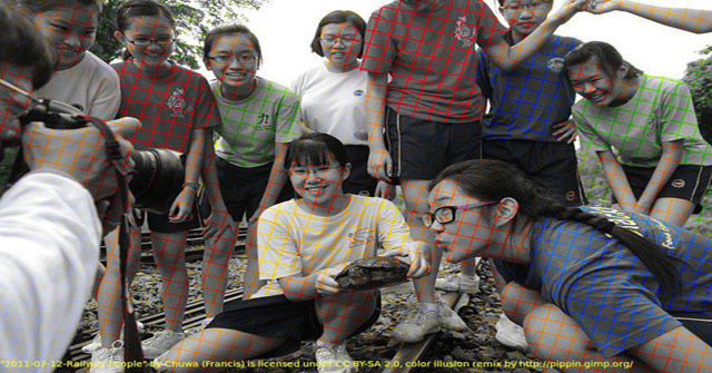 The Visual Illusion That Makes the Black and White Image into