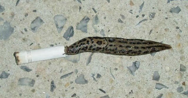 The Weirdest Photos from Abandoned Websites on the Internet
