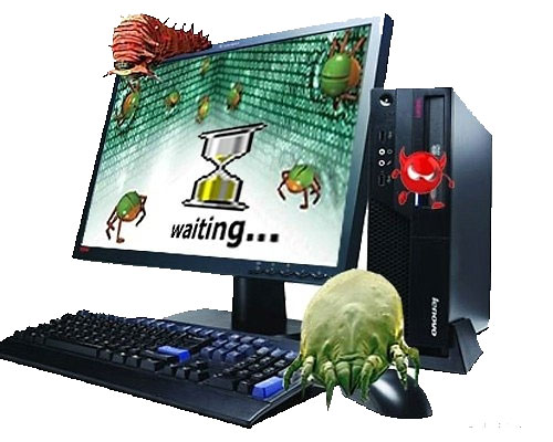 There Are Nearly 3,000 New Strains of Computer Viruses in Vietnam