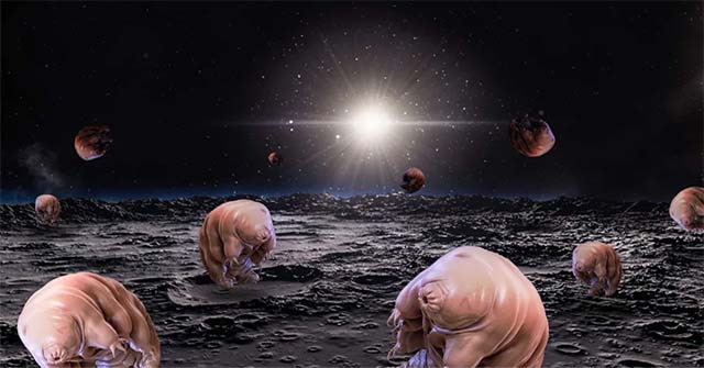 These Tiny Creatures Crossed the 384,400km Route from the Earth