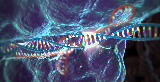This 10-second Video Will Help You Know How to Edit the Gene