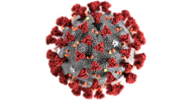 This AI 'Doctor' Is Being Used to Quickly Diagnose Corona Virus