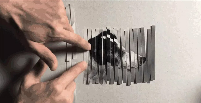 This Bread Cutter and Photo Splitting Procedure Will Show You How