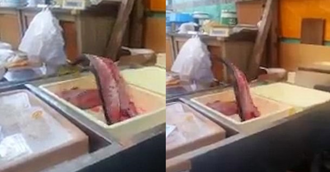 This Is the Reason Why Fish Lose Their Heads, Filtering Bones Still