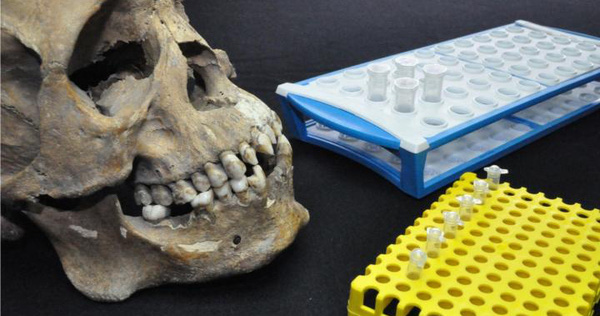 Three Sets of Skeletons Reveal the Tragic History of the