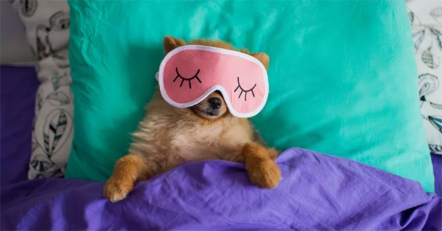 Tips to 'Reset' the Sleep Cycle to Get the Most Scientific