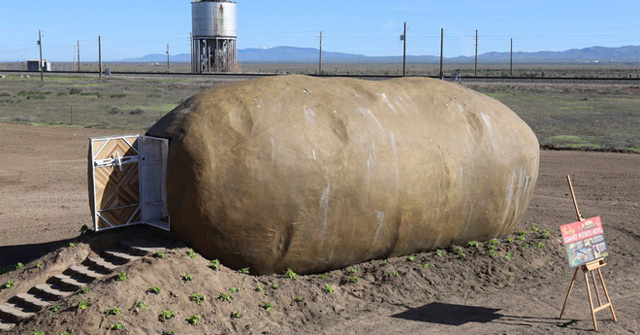 To Experience a Night of 6 Tons of 'Potato' in the Middle of the Field, You Have to Spend 4.6
