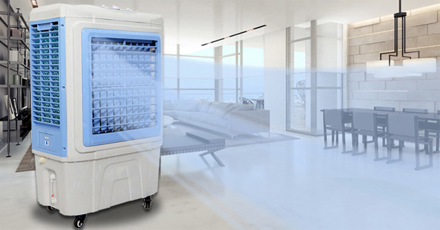 Top 3 Most Popular Low Cost Coolers for Students