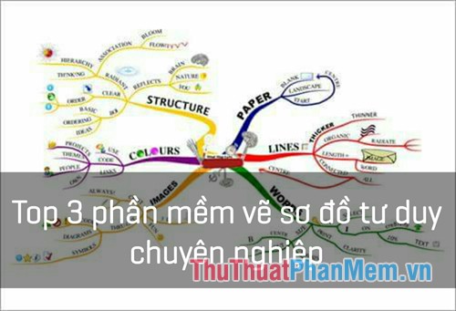 3 Best Most Professional Thinking Mapping Software 2020