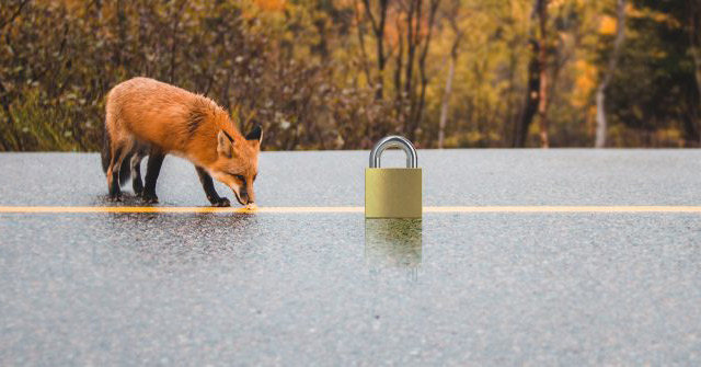 Top Best VPN for Firefox: Best Free VPN for Firefox