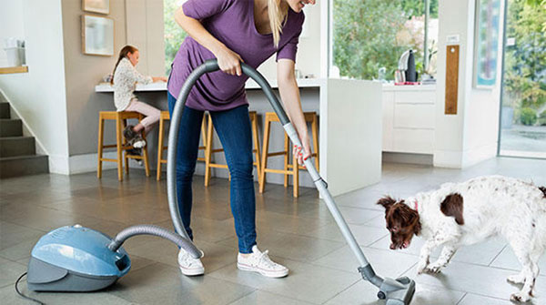 Top Vacuum Cleaners Priced Under 2 Million Are Hunted for the End